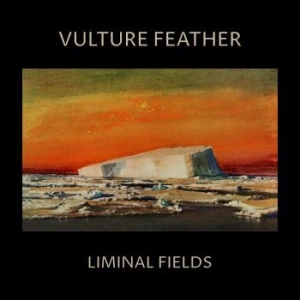 Vulture Feather - Liminal Fields (Ltd Bone Vinyl) in the group VINYL / Pop-Rock at Bengans Skivbutik AB (4266616)