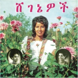 Aselefech Ashine & Getenesh Kebret - Beauties in the group VINYL / Jazz at Bengans Skivbutik AB (4266618)