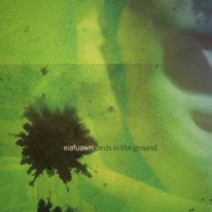 Eiafuawn - Birds In The Ground (Ltd White Viny in the group VINYL / Pop-Rock at Bengans Skivbutik AB (4266625)