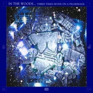In The Woods - Three Times Seven On A Pilgrimage ( in the group VINYL / Hårdrock/ Heavy metal at Bengans Skivbutik AB (4266642)
