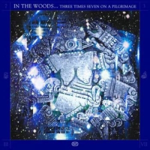 In The Woods - Three Times Seven On A Pilgrimage ( in the group VINYL / Hårdrock at Bengans Skivbutik AB (4266642)