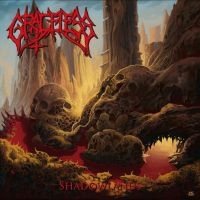 Graceless - Shadowlands in the group CD / Hårdrock at Bengans Skivbutik AB (4275054)