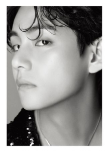 BTS - BTS - Dicon Dfesta V ver. in the group Minishops / K-Pop Minishops / BTS at Bengans Skivbutik AB (4278157)