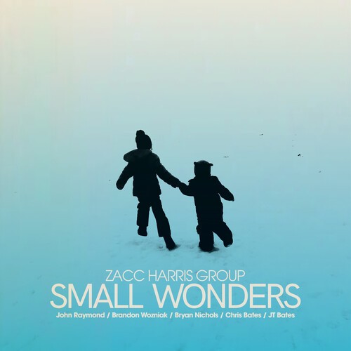 Zacc Harris Group - Small Wonders in the group CD / Jazz/Blues at Bengans Skivbutik AB (4281943)