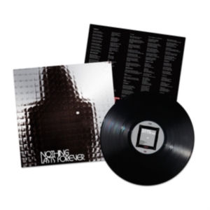 Teenage Fanclub - Nothing Lasts Forever in the group VINYL / Pop-Rock at Bengans Skivbutik AB (4284557)