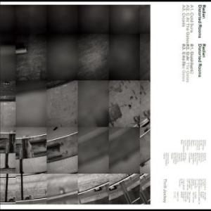 Radian - Distorted Rooms in the group VINYL / Jazz/Blues at Bengans Skivbutik AB (4285807)