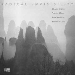 Carter Daniel Stelios Mihas Irma Ne - Radical Invisibility in the group VINYL / Jazz/Blues at Bengans Skivbutik AB (4287316)