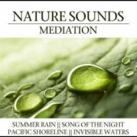 Various Artists - Nature Sounds Meditation in the group CD / Pop-Rock at Bengans Skivbutik AB (4290593)