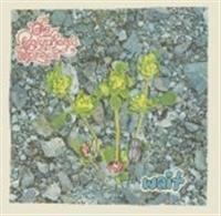 Polyphonic Spree The - Wait in the group CD / Pop-Rock at Bengans Skivbutik AB (4291046)