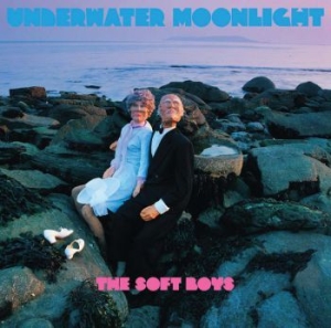 Soft Boys The - Underwater Moonlight in the group CD / Rock at Bengans Skivbutik AB (4291060)