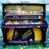 Bracken - We Know About The Need in the group CD / Pop-Rock at Bengans Skivbutik AB (4291087)