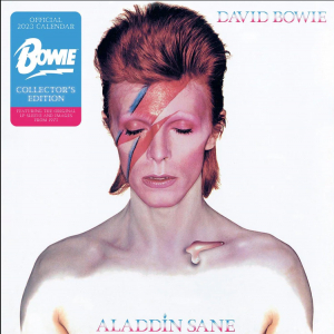 David Bowie - David Bowie 2023 Calendar Collectors Record Sleeve, Plastic Free, Official Produ in the group OUR PICKS / Recommended Calenders at Bengans Skivbutik AB (4291497)