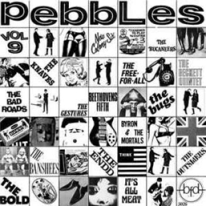 Various Artists - Pebbles Vol. 9: Original Punk Rock in the group VINYL / Pop-Rock at Bengans Skivbutik AB (4292703)