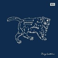 Matheny William - Strange Constellations in the group CD / Pop-Rock at Bengans Skivbutik AB (4294430)