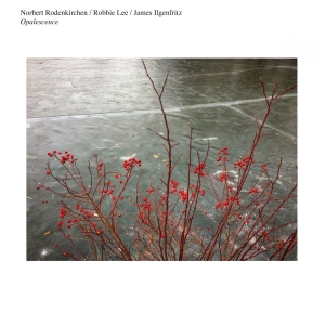Norbert Rodenkirchen/Robbie Lee/Jam - Opalescence in the group CD / Pop-Rock at Bengans Skivbutik AB (4294595)