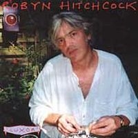 Hitchcock Robyn - Luxor in the group CD / Pop-Rock at Bengans Skivbutik AB (4296058)