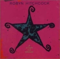 Hitchcock Robyn - A Star For Bram in the group CD / Pop-Rock at Bengans Skivbutik AB (4296085)