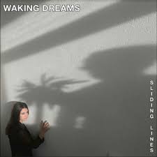 Waking Dreams - Sliding Lines in the group VINYL / Rock at Bengans Skivbutik AB (4296375)