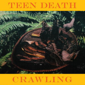 Teen Death - Crawling & More in the group Rock at Bengans Skivbutik AB (4296470)