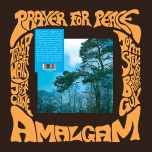 Amalgam - Prayer For Peace in the group VINYL / Pop-Rock,Övrigt at Bengans Skivbutik AB (4298294)
