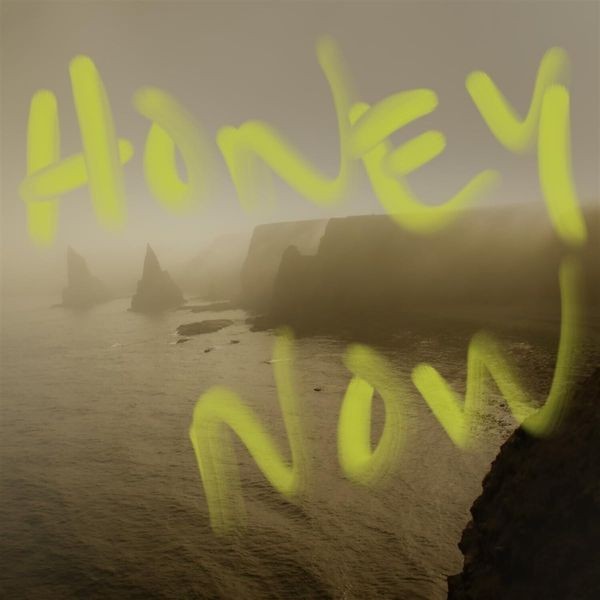 Neon Waltz - Honey Now in the group CD / Pop at Bengans Skivbutik AB (4298371)