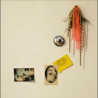 Donovan Mike - Meets The Mighty Flashlight in the group VINYL / Pop-Rock at Bengans Skivbutik AB (4302121)