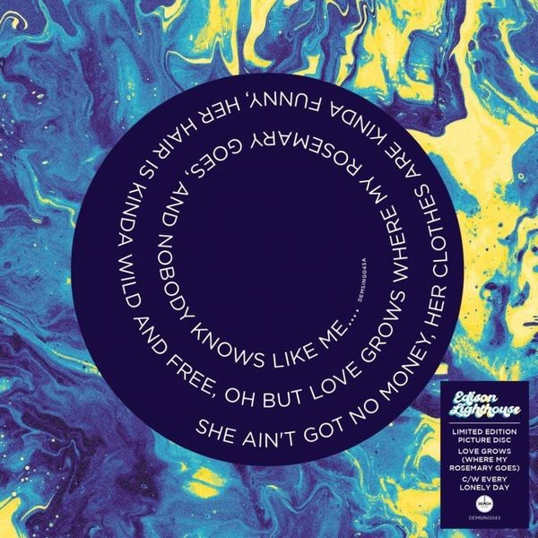 Edison Lighthouse - Love Grows (Where My Rosemary Goes) in the group VINYL / Pop at Bengans Skivbutik AB (4302284)