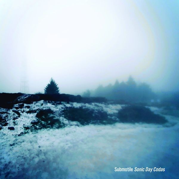 Submotile - Sonic Day Codas in the group VINYL / Pop at Bengans Skivbutik AB (4302476)