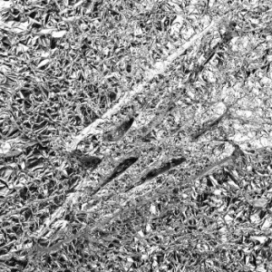 Say She She - Silver (Ltd Transparent Clear Vinyl in the group VINYL / RnB-Soul at Bengans Skivbutik AB (4303003)