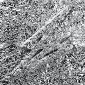 Say She She - Silver in the group CD / RnB-Soul at Bengans Skivbutik AB (4303009)