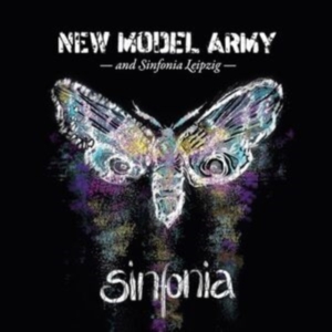 New Model Army - Sinfonia in the group CD / Pop-Rock at Bengans Skivbutik AB (4303176)