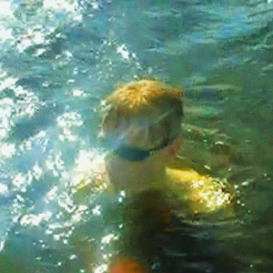 LKN - Varma vindar in the group OTHER /  /  at Bengans Skivbutik AB (4304481)