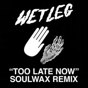 Wet Leg - Too Late Now (Soulwax Remix) in the group Minishops / Wet Leg at Bengans Skivbutik AB (4304528)