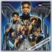 BLACK PANTHER 2023 SQUARE CALENDAR in the group OTHER / Merchandise at Bengans Skivbutik AB (4305266)