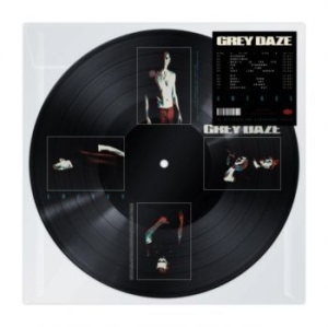 Grey Daze - Amends (Picture Disc Vinyl #2) in the group VINYL / Pop-Rock at Bengans Skivbutik AB (4305567)