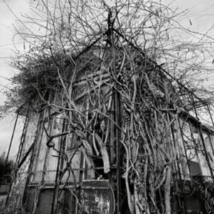 Impure Wilhelmina - Dead Decades (Marbled Vinyl Lp) in the group VINYL / Hårdrock at Bengans Skivbutik AB (4306216)