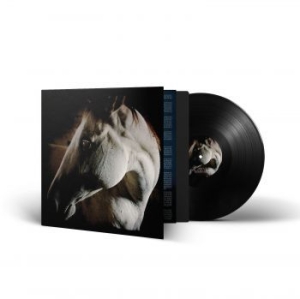 Brother Dege - How To Kill A Horse (Vinyl Lp) in the group VINYL / Pop-Rock at Bengans Skivbutik AB (4308269)
