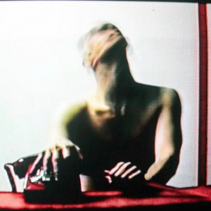 STATIC DRESS - ROUGE CARPET DISASTER (REDUX) in the group OTHER / Övrigt /  at Bengans Skivbutik AB (4309984)