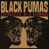 Black Pumas - Chronicles Of A Diamond (Indie Excl in the group VINYL / Hårdrock at Bengans Skivbutik AB (4310809)