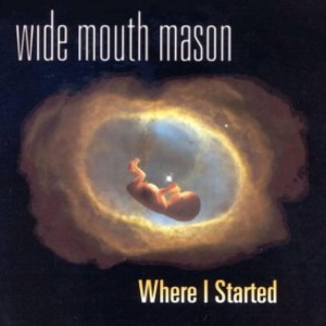 Wide Mouth Mason - Where I Started in the group VINYL / Pop at Bengans Skivbutik AB (4310821)