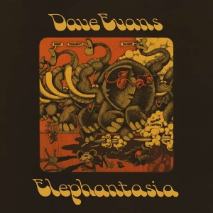 Evans Dave - Elephantasia in the group VINYL / Pop-Rock at Bengans Skivbutik AB (4312180)