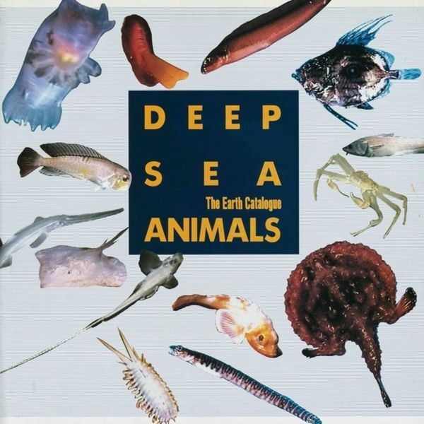 Various Artists - Deep Sea Animals Original Soundtrac in the group VINYL / Pop at Bengans Skivbutik AB (4312232)