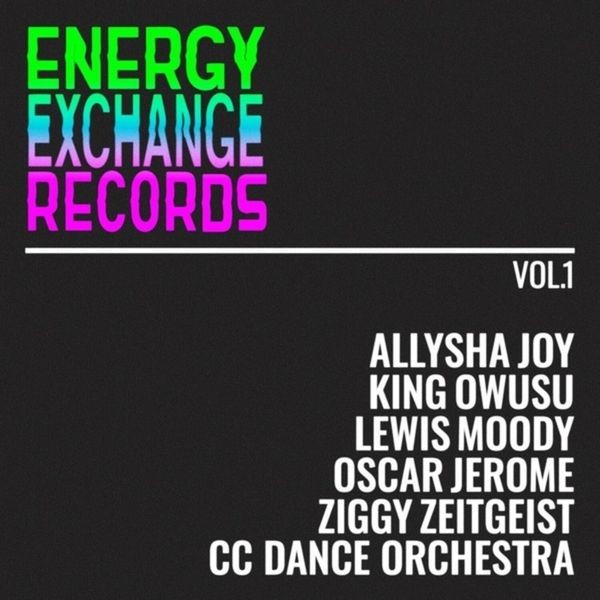 Energy Exchange Ensemble - ENERGY EXCHANGE RECORDS VOL. 1 in the group VINYL / Pop at Bengans Skivbutik AB (4312516)