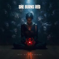 She Burns Red - Out Of Darkness in the group VINYL / Pop-Rock at Bengans Skivbutik AB (4312528)