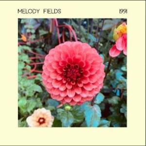 MELODY FIELDS - 1991 in the group VINYL / Pop-Rock,Svensk Musik at Bengans Skivbutik AB (4313064)