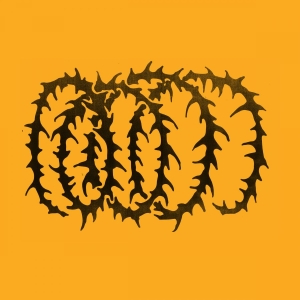 Hotline Tnt - Cartwheel in the group VINYL / Pop-Rock at Bengans Skivbutik AB (4313232)