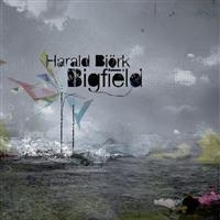 Björk Harald - Bigfield in the group CD / Dance-Techno at Bengans Skivbutik AB (4313259)