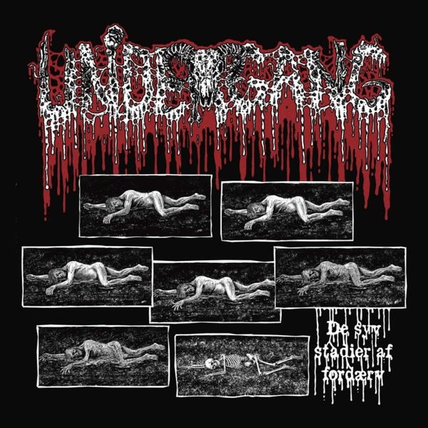 Undergang - De Syv Stadier Af Fordaerv in the group CD / Hårdrock/ Heavy metal at Bengans Skivbutik AB (4313837)