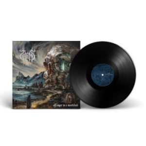 Hiems - Stranger In A Wasteland (Vinyl Lp) in the group VINYL / Hårdrock/ Heavy metal at Bengans Skivbutik AB (4314247)