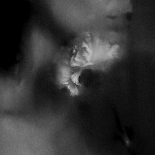Holding Absence - Holding Absence in the group VINYL / Rock at Bengans Skivbutik AB (4314266)